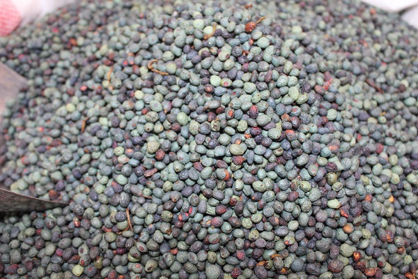 Foto - Sadece o ilimizde yetişiyor! Kilosu tam 800 TL'ye satılıyor