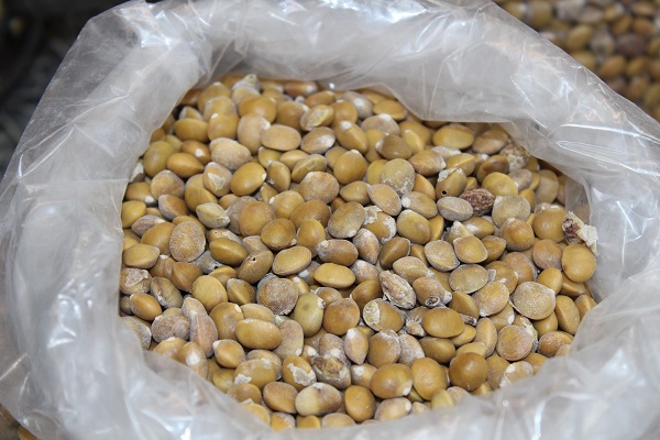 Foto - Sadece o ilimizde yetişiyor! Kilosu tam 800 TL'ye satılıyor