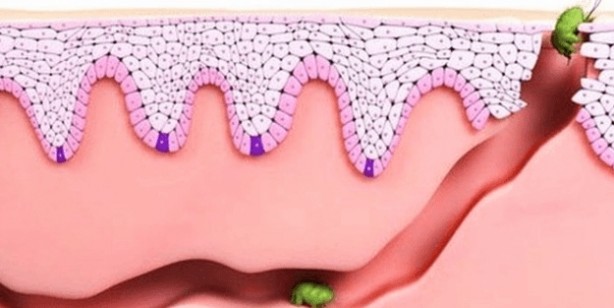 Foto - Sadece Ordu, Samsun, Giresun Tokat ve Sivas değil tüm Türkiye tehlikede 4,5 kat arttı Gece ortaya çıkıyor