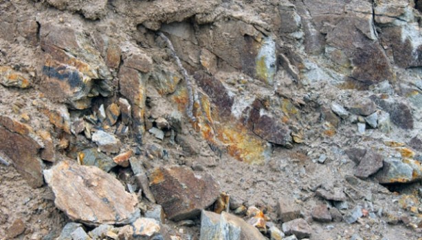 Foto - Sadece Türkiye'yi değil, dünyayı ayağa kaldıracak keşif! "Batman'da 100 bin ton buldum, toprağın altında" diyerek duyurdu