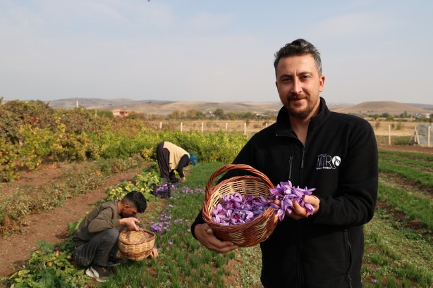 Foto - Safranbolu'da gördü Elazığ yetiştirdi! Kilosu 200 bin lira