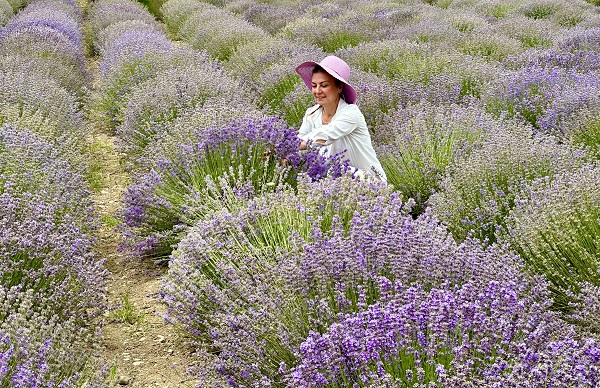 Safranbolu’da görsel şölen