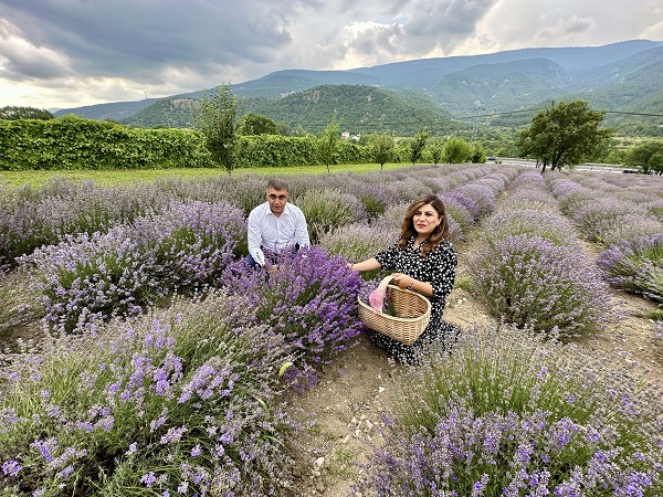 Foto - Safranbolu’da görsel şölen
