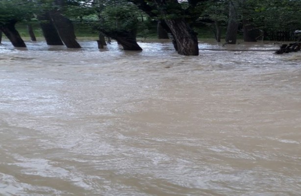 Foto - Sağanak yağış sonrası bir köy sular altında kaldı!