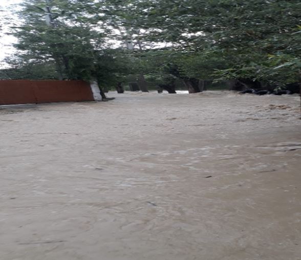 Foto - Sağanak yağış sonrası bir köy sular altında kaldı!