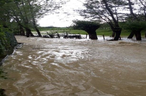 Foto - Sağanak yağış sonrası bir köy sular altında kaldı!