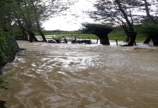 Sağanak yağış sonrası bir köy sular altında kaldı!
