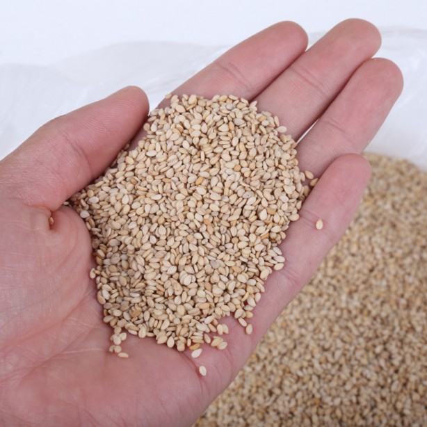 Foto - Sağlığa faydaları saymakla bitmiyor