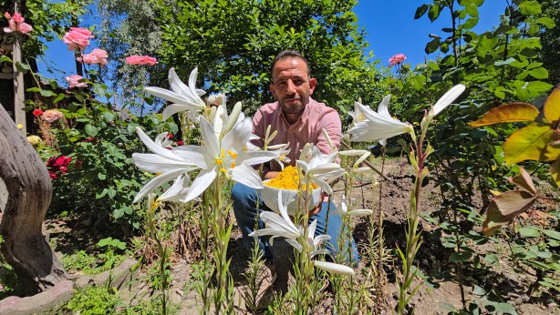 Foto - Sağlığa faydası saymakla bitmez! Fiyatıyla dudak uçuklatıyor