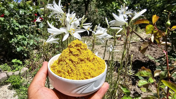 Foto - Sağlığa faydası saymakla bitmez! Fiyatıyla dudak uçuklatıyor