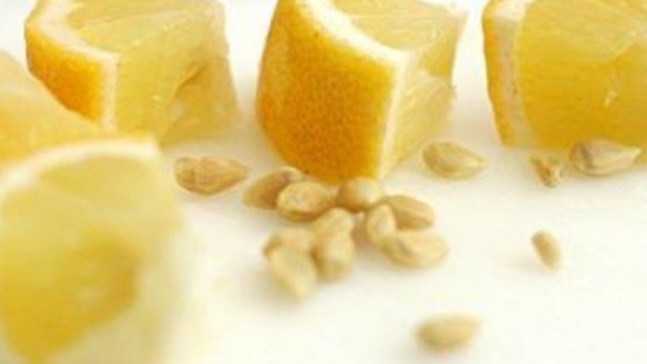 Foto - Sağlığa faydası saymakla bitmiyor! Limon çekirdeklerini çöpe atanlar dikkat