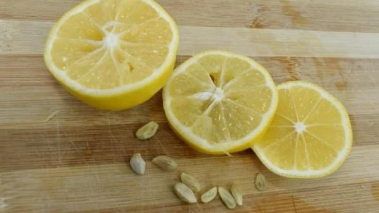 Foto - Sağlığa faydası saymakla bitmiyor! Limon çekirdeklerini çöpe atanlar dikkat