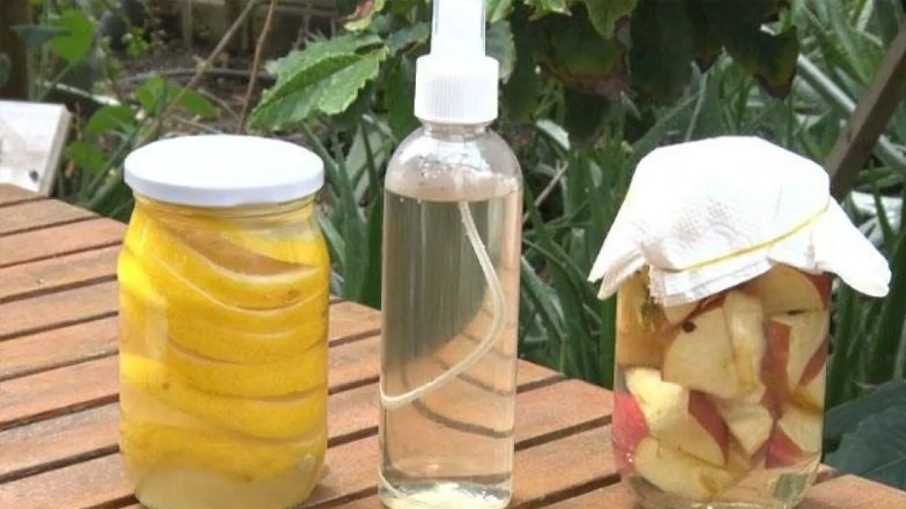 Foto - Sağlığa o kadar yararlı ki… Elma sirkesinin bilinmeyen 5 faydası