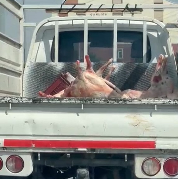 Foto - Sağlığımızla böyle oynuyorlar! 