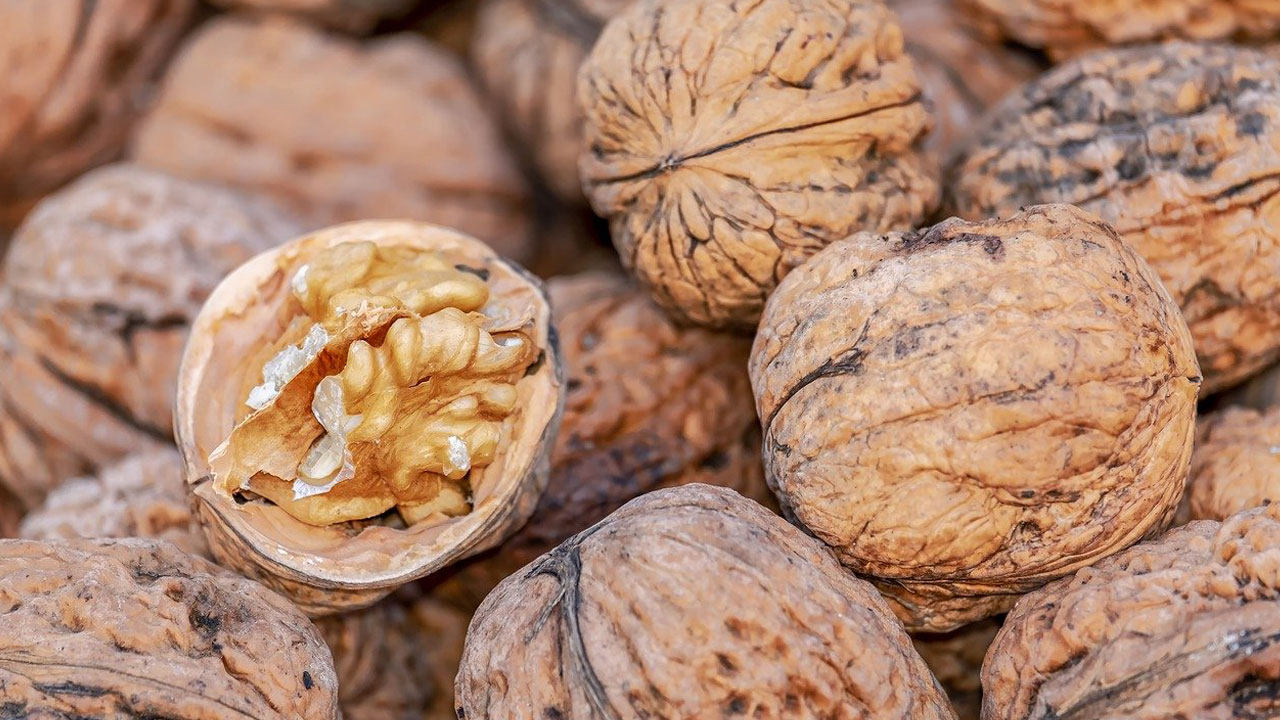 Foto - Sağlığın altın anahtarı! Somonu sollayan Omega-3 kaynakları