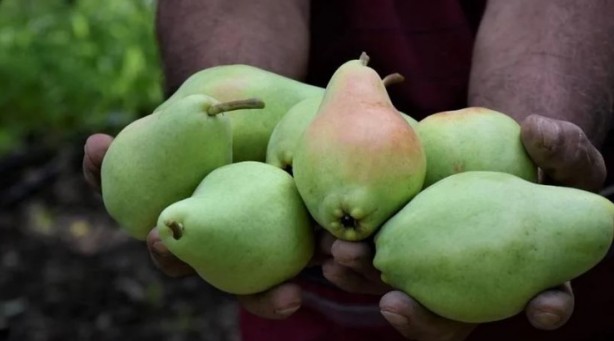 Foto - Sağlığınız için çok önemli! İşte kışın tüketilmesi gereken yiyecekler