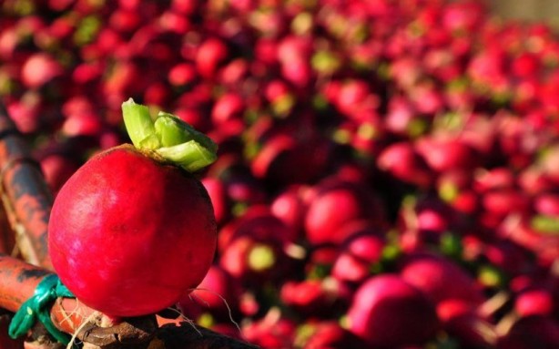 Foto - Sağlığınız için çok önemli! İşte kışın tüketilmesi gereken yiyecekler