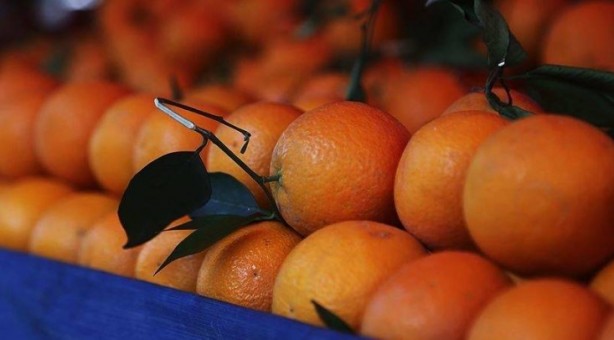 Foto - Sağlığınız için çok önemli! İşte kışın tüketilmesi gereken yiyecekler