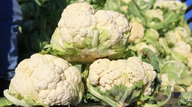 Foto - Sağlığınız için çok önemli! İşte kışın tüketilmesi gereken yiyecekler