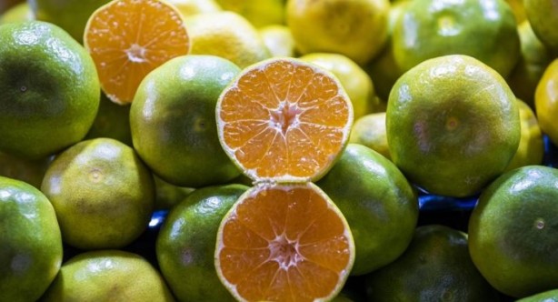 Foto - Sağlığınız için çok önemli! İşte kışın tüketilmesi gereken yiyecekler