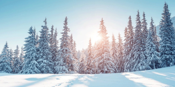Sağlığınız için çok önemli! Yaklaşan kış öncesi buna dikkat