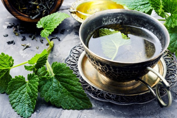 Foto - Sağlığınız için mutlaka kullanmanız gereken 8 şifalı bitki