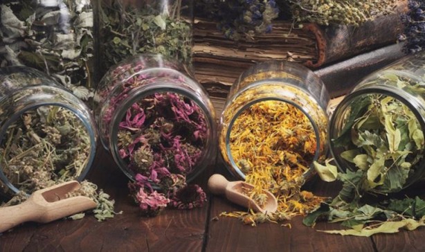 Foto - Sağlığınız için mutlaka kullanmanız gereken 8 şifalı bitki