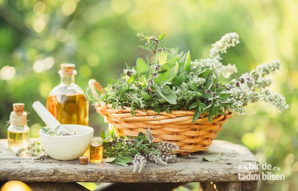 Foto - Sağlığınız için mutlaka kullanmanız gereken 8 şifalı bitki