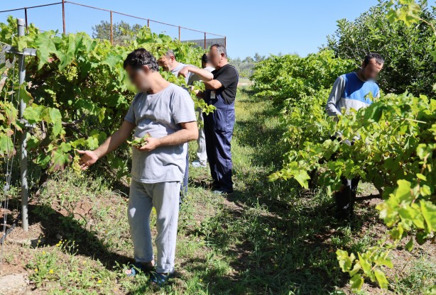 Foto - Sağlık durumları daha iyiye gitti! Ruh sağlığı bozukluğu olanlara farklı bir terapi