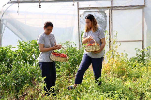 Foto - Sağlık durumları daha iyiye gitti! Ruh sağlığı bozukluğu olanlara farklı bir terapi