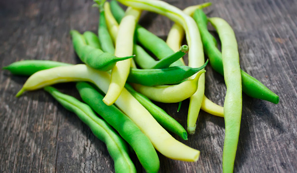 Foto - Sağlıklı bir akciğer için öneriler