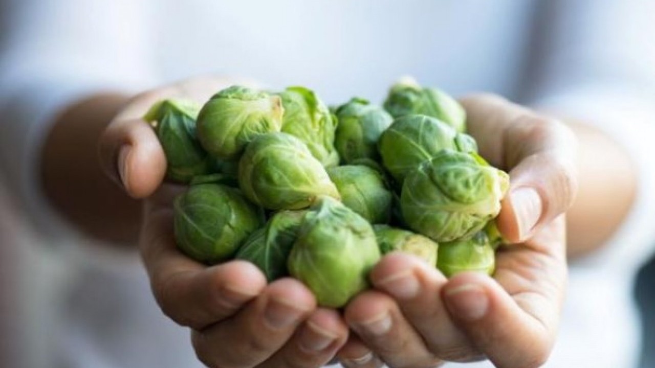 Foto - Sağlıklı bir vücudun temelini kuruyor! Protein zengini 10 sebze açıklandı