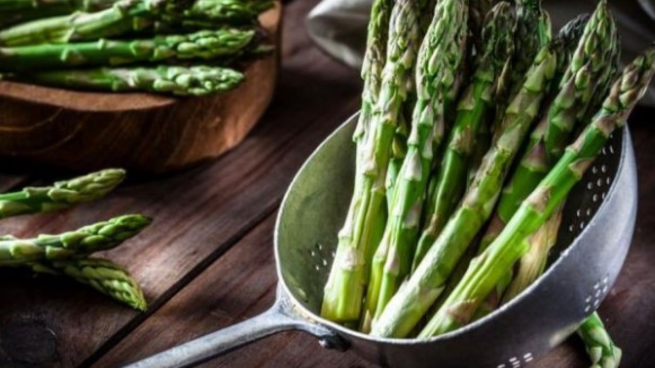 Foto - Sağlıklı bir vücudun temelini kuruyor! Protein zengini 10 sebze açıklandı