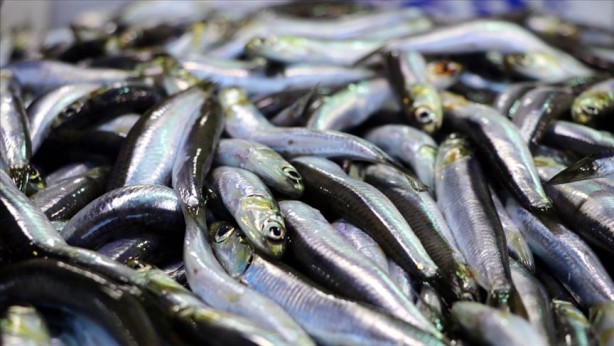 Foto - Sağlıklı bir vücut için alınması gereken 9 vitamin