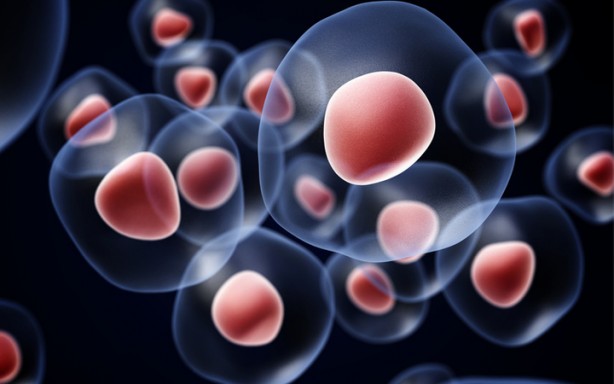 Foto - Sağlıklı bir vücut için aralıklı oruç