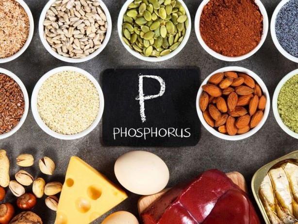 Foto - Sağlıklı bir vücut için vazgeçilmez 6 mineral