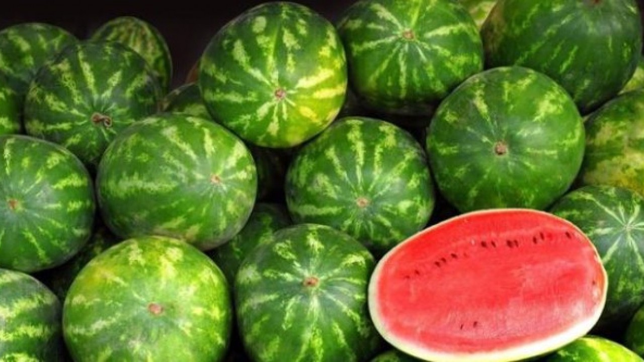 Foto - Sağlıklı diye biliyorduk ama..! Karpuz yerken bir kez daha düşünün