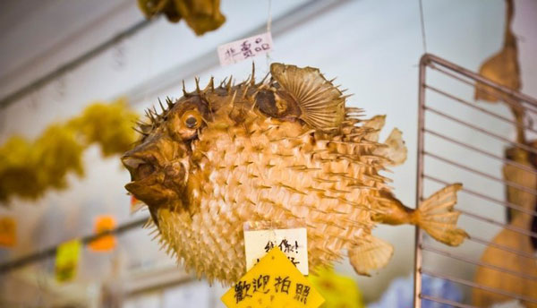 Foto - Sağlıklı diye tüketiliyor... Bu besinler zehir saçıyor!