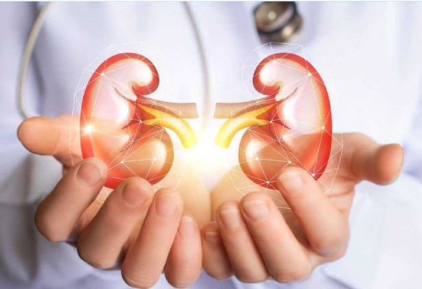 Foto - Sağlıklı diyerek tükettikleriniz böbreklerinizi içten içe bitiriyor