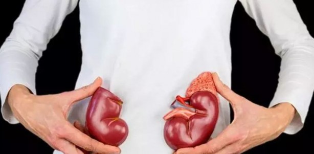 Sağlıklı diyerek tükettikleriniz böbreklerinizi içten içe bitiriyor