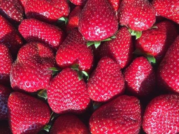 Foto - Sağlıklı kalmanın olmazsa olmaz kuralları