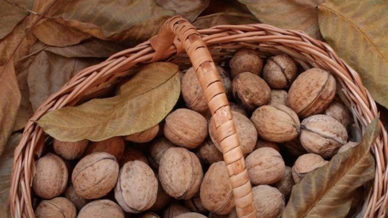 Foto - Sağlıklı yağlar, vitaminler, mineraller: Yaş ceviz yenir mi?