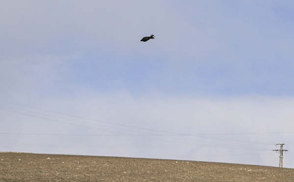 Foto - Saha testlerine başlandı! Hedefler nokta atışıyla imha edilecek