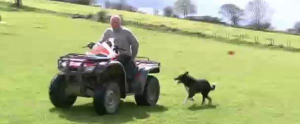 Sahibi için yaptığı şey akıllara durgunluk veriyor!