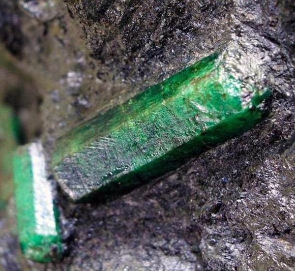 Foto - Sahibi korkudan adını açıklamıyor!