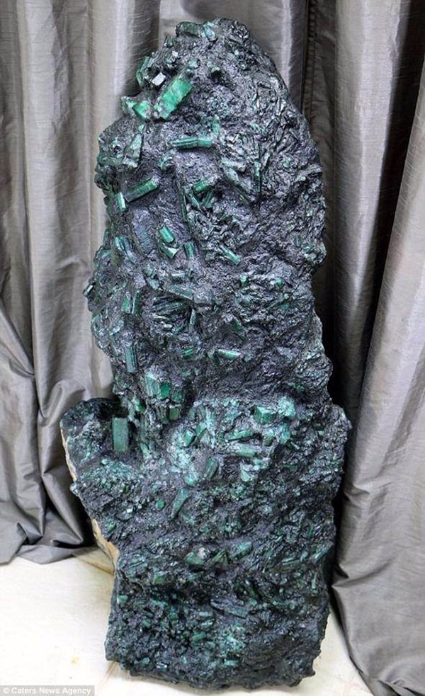 Foto - Sahibi korkudan adını açıklamıyor!