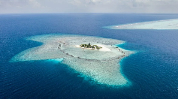 Foto - Sahibinden satılık! Daireden daha ucuza ada