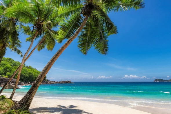 Foto - Sahibinden satılık! Daireden daha ucuza ada