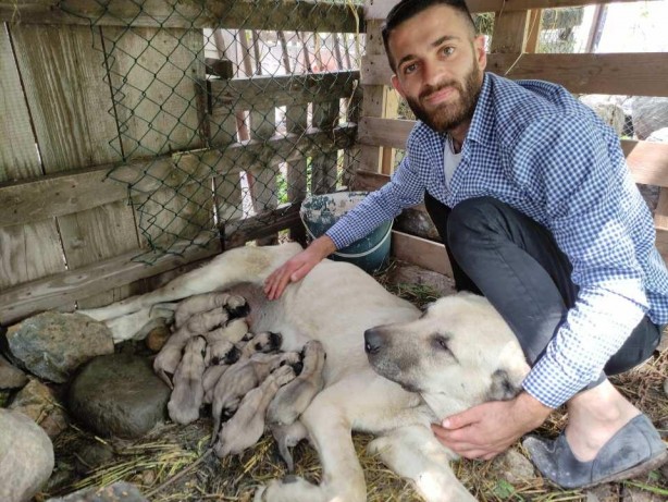 Foto - Sahibine servet kazandırdı