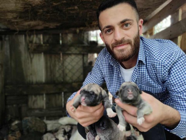 Foto - Sahibine servet kazandırdı